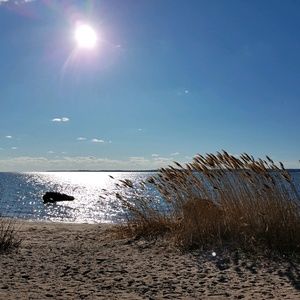 Meet your Posher, Rozalia